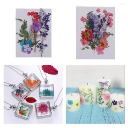 Decoratieve Bloemen Assorti Gemengde Kleur Gedroogd Voor Hars Gieten Filler Kaarten Maken Plakboek Versieringen DHZ Ambachten Benodigdheden Woondecoratie