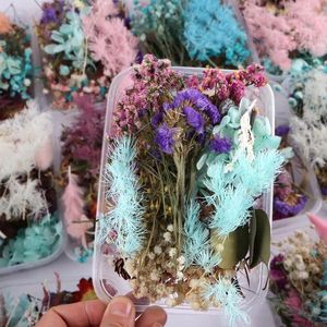 Decoratieve bloemen Aantrekkelijke kleur vol gedroogd van echte bloemblaadjes en leacves voor multi -gebruik DIY Supply Home Walls Decoraties Geschenk SUPLIES