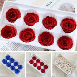 Fleurs décoratives de qualité B 4-5cm, têtes de roses fraîches conservées, Bouquet de cadeau d'anniversaire, matériel de bricolage multicolore longue durée