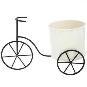 Decoratieve bloemen fietsstandaard metalen bloem emmer planten indoor multifunctionele ijzeren fietsplanter cadeauverpakkingsrek