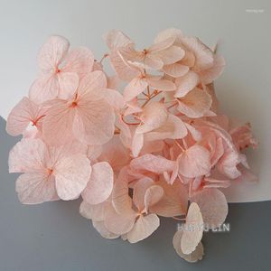 Flores decorativas Pétalos grandes Macrophylla Hydrangea Flor preservada DIY Pendientes y velas perfumadas Material para resina de gutapercha Hogar