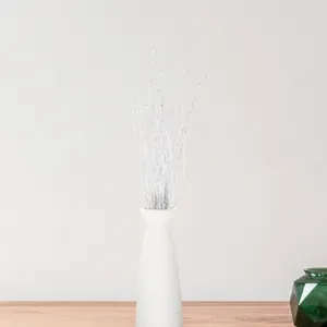 Fleurs décoratives Birg Branch Decoration branches pour vase Natural Party Party Momening séché Trame Tree maître