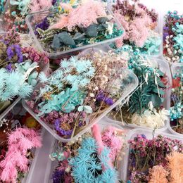 Boîtes de fleurs décoratives réelles plantes séchées séchées résine