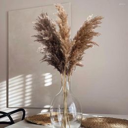 Decoratieve bloemen bruine kleur pampas gras pluizig klein riet boeket natuurlijk gedroogd voor bloemarrangementen boho home decor