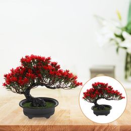 Decoratieve Bloemen Cactus Simulatie Bonsai Pijnboom Imitatie Ornament Materiaal Huishoudelijke Decoratie Geëmuleerd