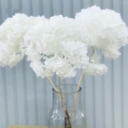 Fleurs décoratives de Noël Tête de branche d'hortensia séchée naturelle préservée assortie à des cadeaux de Saint Valentin Mariage Accessoirres Boho Deco