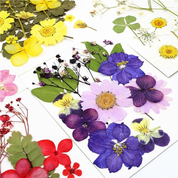 Fleurs décoratives décoration colorée bricolage réelle fleur séchée uv uv remplissage de moisissures de résine époxy