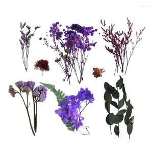 Fleurs décoratives Bouquet séché coloré Dry Caspia Flower Bundle Crafting Supplies For Scenting Bandles Faire des cartes de voeux Décorations