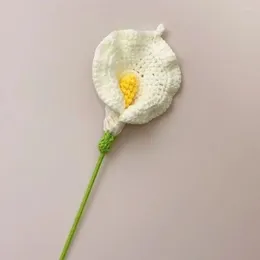 Fleurs décoratives crochet à main tricote bricolage artisanat fleur artificielle fleur fini de fausses plantes la journée du professeur