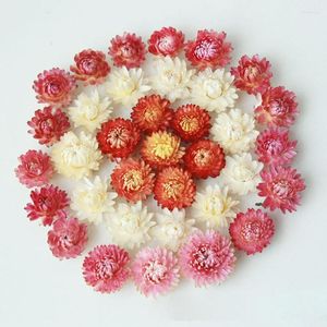 Fleurs décoratives Marguerite Paille Chrysanthème Gomphrena Sec Vraie Tête À La Main Fleur Matériel En Gros DIY