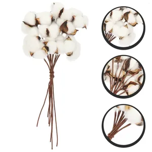 Flores decorativas para decorar ramo de algodón, decoraciones para el hogar seco, flores para el hogar, alambre de hierro, ramas para festivales