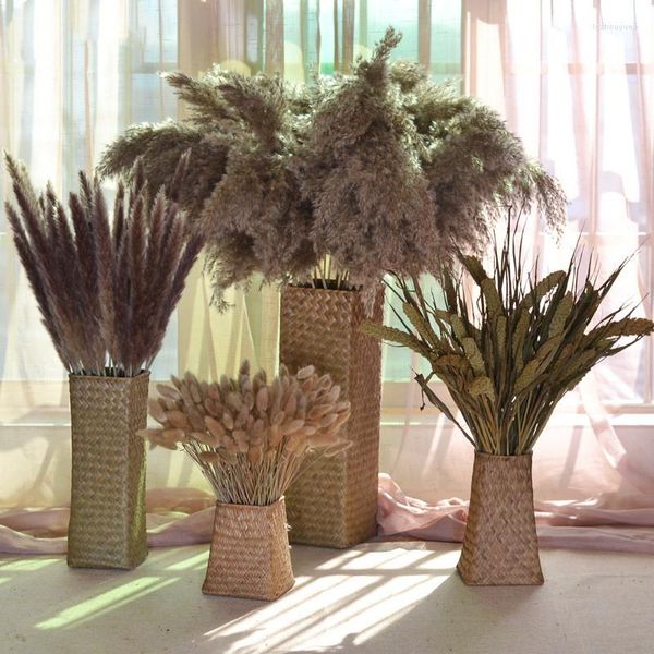 Fleurs décoratives décoration petit roseau naturel séché pampa herbe Phragmites fête de mariage bouquet de fleurs de noël pour la décoration intérieure