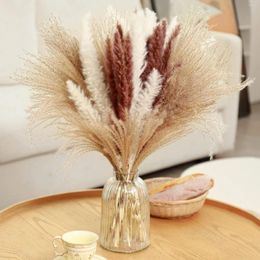Decoratieve bloemen Diy Bouquet Gift Natural Fluffy Drooged Pampas Grass Tail voor Home Decor Wedding Christmas Party Decorations