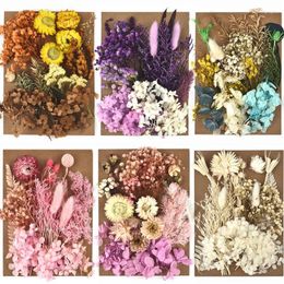 Decoratieve bloemen Diy Gedroogd voor hars mal Making vullingen NAIL ART Home Craft Room Decor Wedding Party Decoratie Outdoor