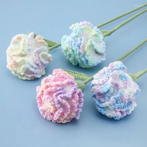 Fleurs décoratives DIY Gradient Carnation Simulation tricotée Crochet Crochet Bouquet de la fête des mères Gift