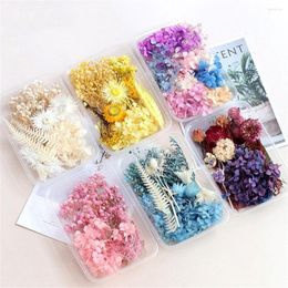 Decoratieve bloemen DIY Echt gedroogde bloemendoos Festival Party Kandel Epoxy Resin Hanger ketting sieraden maken ambacht