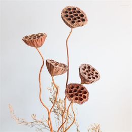 Decoratieve bloemen Gedroogde bonsai Decor Seedpod of Lotus 5pcs echte planten natuurlijke brwon pods met stengels geen zaden