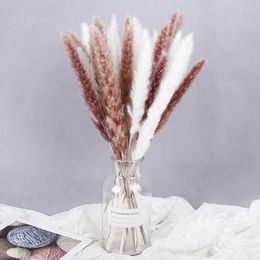 Decoratieve bloemen Gedroogd boeket Pampas Grass Boheems bruiloft Deco Dry Natural Dekoration Pampa Reed Boho Home Decor Flower Party