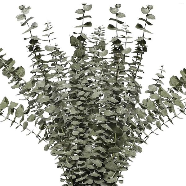Flores decorativas ramas secas reales 12 Uds tallos naturales vivos en interiores para ducha boda DIY bígaro Artificial