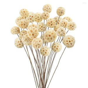 Flores decorativas, bolas de Craspedia secas, ramo Natural para arreglos florales bohemios, decoración de centros de mesa de boda