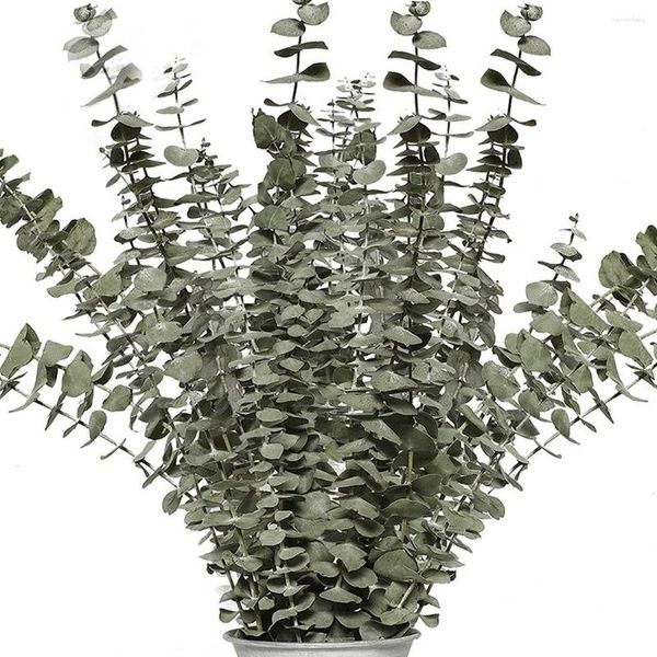 Fleurs décoratives branches d'eucalyptus séchées réel 12 pièces tiges naturelles plante en direct intérieur pour douche mariage