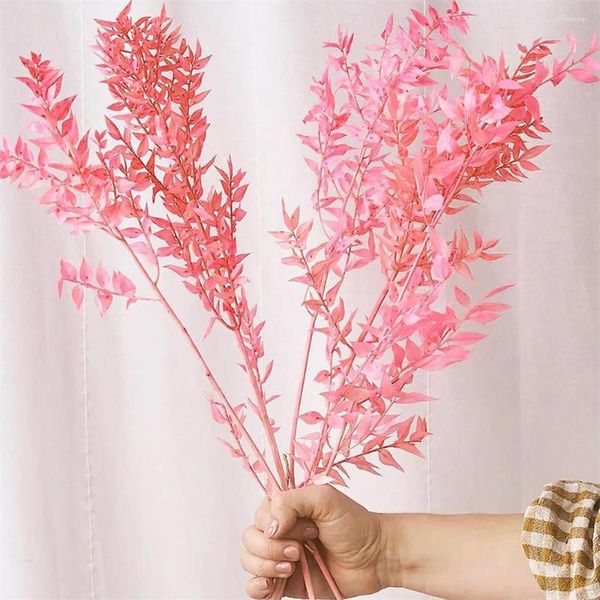 Flores decorativas Eucalipto seco Pink White italiano Ruscus Aumento Natural Fresco Hojas de planta preservadas para Boho Decor Weddings Home Vase