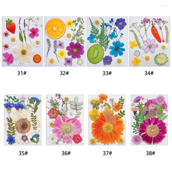 Fleurs décoratives séchées pour résine fruits naturels Kit de bricolage