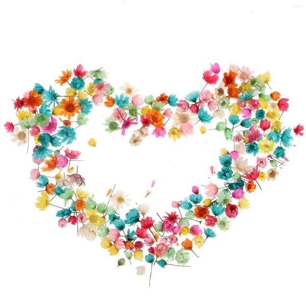 Flores decorativas secas para resina, cabeza de estrella pequeña, pegamento de cristal artesanal sin poste, relleno de bolas de cristal, Color rosa, manualidades