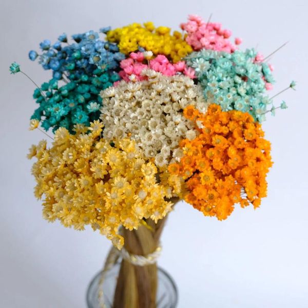 Fleurs décoratives séchées Mini marguerite petite étoile Bouquet plantes naturelles préserver florale pour mariage décoration de la maison 30/50pcs