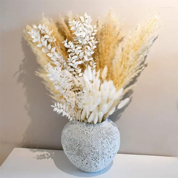 Fleurs décoratives séchées naturelles Pampas herbe Phragmites plantes Mariage Bouquet pour fête de Mariage maison Table jardin décoration en plein air