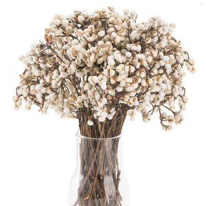 Decoratieve Bloemen Gedroogde Natuurlijke Plantaardige DIY Talg Bessen Bruiloft Arrangement Bloemen Home Decor Boerderij Stijl