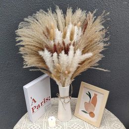 Decoratieve bloemen Gedroogd pampas gras bevat staarten reed boeket bruiloft boho thuistafel decor dekoratie