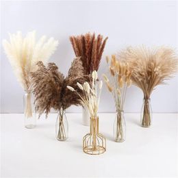 Decoratieve bloemen Gedroogde pampas gras decor 80 stcs natuurlijk huis phragmites pluizig stamboeket voor bruiloft boho