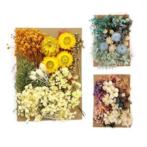 Fleurs décoratives séchées pressées pour la résine feuilles naturelles kit d'herbes sèches Simulation à la maison Pendant Diy Crafor Decoration