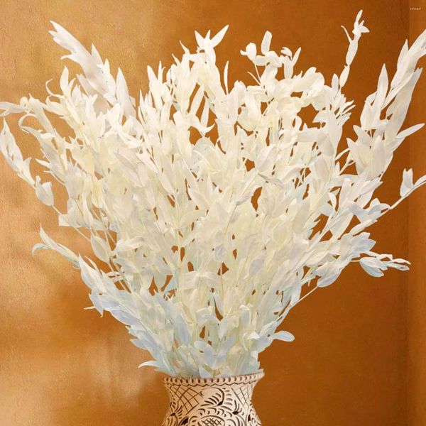 Fleurs décoratives séchées, tiges de Ruscus d'eucalyptus blanc véritable, feuilles naturelles fraîches conservées, pour la maison, mariage, fête Boho, décoration DIY