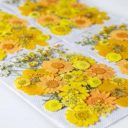 Fleurs décoratives Séchée de fleurs de résine UV Stickers de beauté sèche pour le bricolage époxy remplissage de bijoux décoration accessoire artisanal