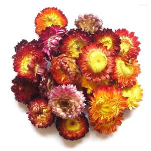 Decoratieve bloemen droge bloem kleurrijk chrysanthemum natuurlijke gedroogde hoofden bruiloft centerpieces bewaard 6 stks