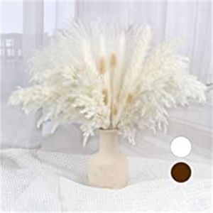 Decoratieve bloemen Droge bloem witte pampa decoraties natuurlijke gras boho home decor boerderij rustieke planten voor bruiloft