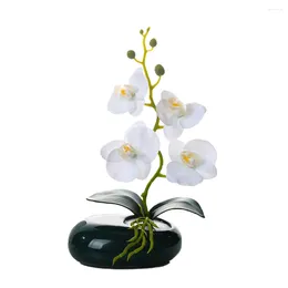Fleurs décoratives bassin elliptique fleur artificielle bonsaï PU papillon orchidée Vase en céramique ensembles décorations pour la maison ornements papillon de nuit empotage
