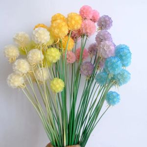 Fleurs décoratives Fleur éternelle Single Windoull Fruit ins séché True Valentine's Day Wedding Festival Decoration