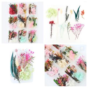 Decoratieve bloemen Eeuwig leven Gedroogde bloemen Materiaalpakket Festival Handgemaakte diy fotolijststickers Leaf Baby