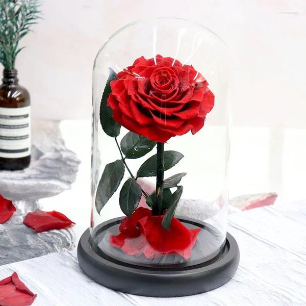 Flores decorativas Rosas eternas preservadas en cúpula de cristal Flor para siempre para Navidad Favor de boda Madres Regalo del día de San Valentín Mujeres