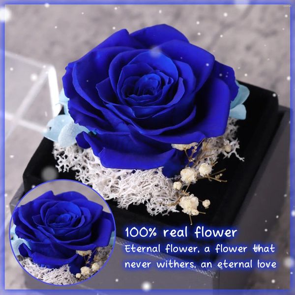 Fleurs décoratives Boîte de bijoux de fleurs de rose éternelle Cadeau romantique pour femme petite amie Boyfriend Mother le jour de l'anniversaire de la Saint-Valentin