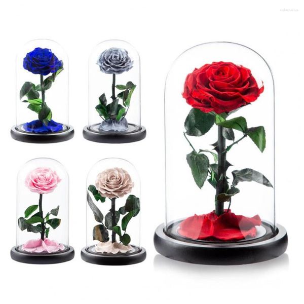 Flores decorativas Rosa eterna en cúpula de cristal Estética romántica Regalo de flores artificiales Suministros para el día de la madre