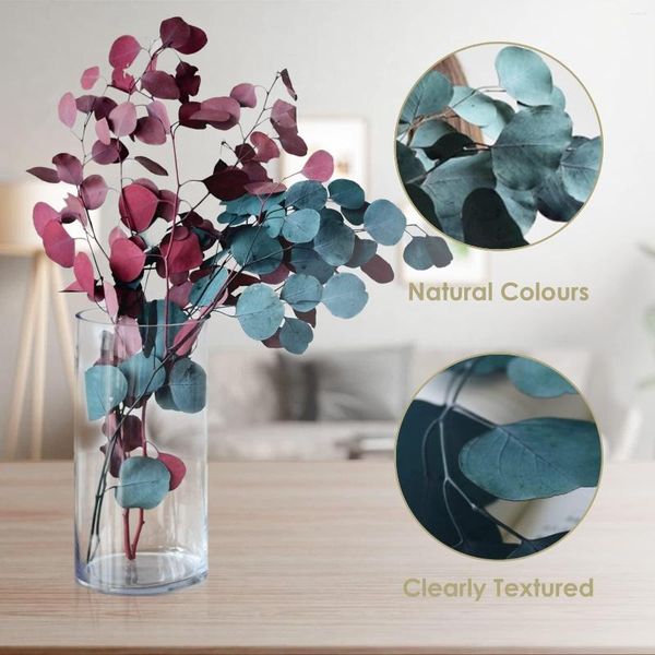 Fleurs décoratives Eucalyptus Fleur sèche Feuilles conservées Branches naturelles pour décoration de la maison Plantes de mariage Décoration de chambre