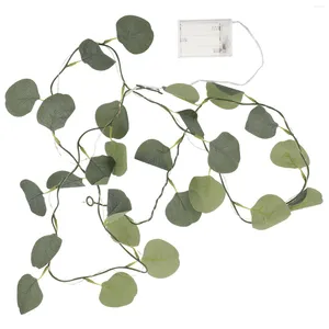 Fleurs décoratives feuille d'eucalyptus lampe rotin décor guirlande guirlande lumineuse feuilles chambre décoration vignes chambre fil de cuivre fête