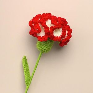 Fleurs décoratives excellente Texture claire tricot oeillet fleur Anti-fade main crochet Bouquet copines cadeau