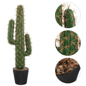 Fleurs décoratives fausse fleur Cactus ornement décorations Simulation grand modèle de plantes succulentes grandes Figurines artisanat plante en pot aménagement paysager