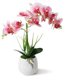 Fleurs décoratives fausse orchidée rose clair de soie phalaenopsis réel arrangement tactile en pot avec vase en céramique blanc