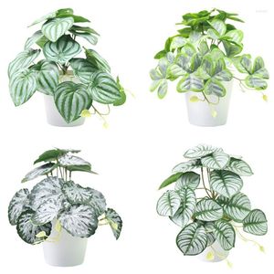 Decoratieve Bloemen Nepplanten Voor Slaapkamer Esthetische Kleine Kunstmatige Home Decor Indoor Bureau Plant Mini Bonsai Ingemaakte